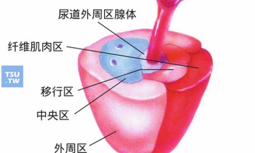 吃琪宁黄体酮软胶囊的作用网 - 为你提供琪宁黄体酮胶囊副作用大吗、琪宁黄体酮吃3天有效果吗